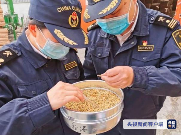 國際物流 國際貨運代理 貨運代理公司 航空國際貨運 ?？章?lián)運 多式聯(lián)運