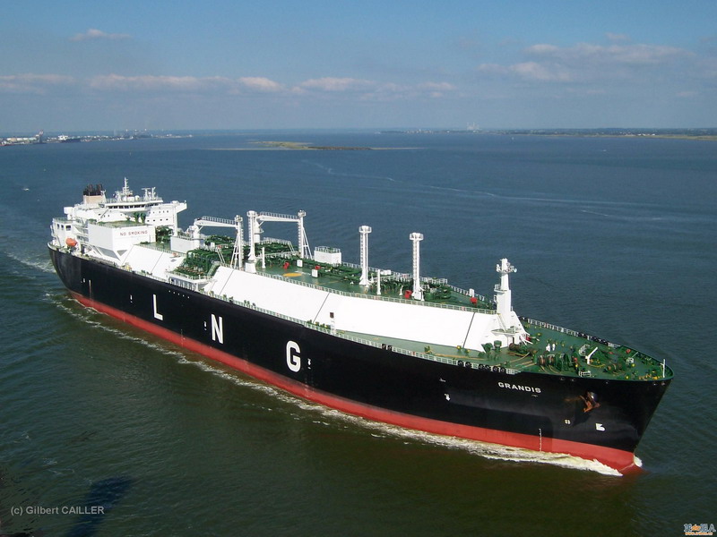 船東提單,貨代提單,MBL,HBL,海運(yùn)提單,SWB,電放提單 SEA WAY BILL TELEX RELEASE 船東提單,貨代提單,MBL,HBL,海運(yùn)提單,SWB,電放提單 SEA WAY BILL TELEX RELEASE