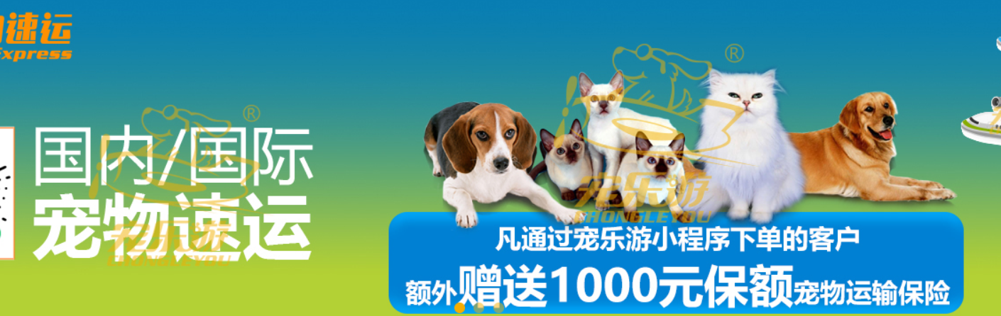 加拿大國(guó)際寵物托運(yùn)手續(xù)和托運(yùn)流程及注意事項(xiàng) 加拿大國(guó)際寵物托運(yùn)手續(xù)和托運(yùn)流程及注意事項(xiàng)