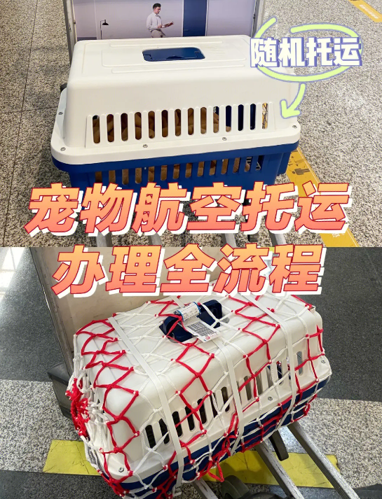 加拿大國(guó)際寵物托運(yùn)手續(xù)和托運(yùn)流程及注意事項(xiàng) 加拿大國(guó)際寵物托運(yùn)手續(xù)和托運(yùn)流程及注意事項(xiàng)