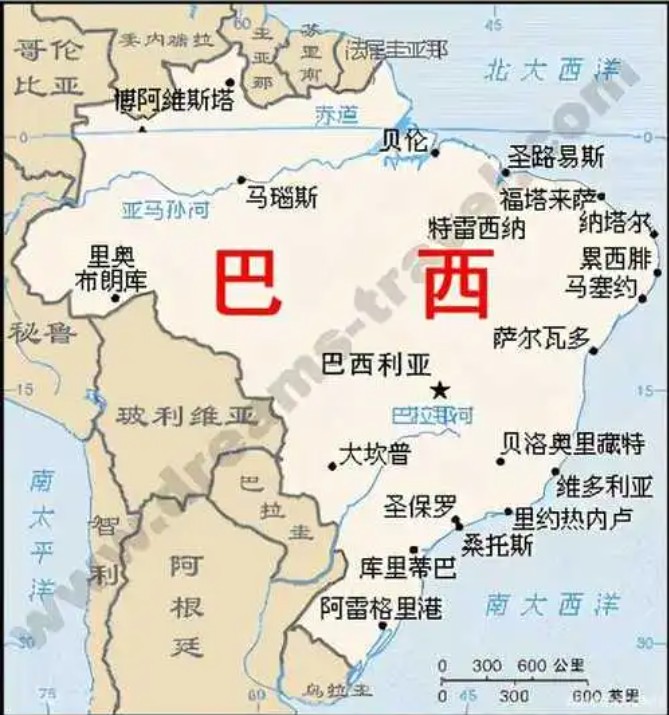巴西進(jìn)口清關(guān)公司  巴西進(jìn)口貨運(yùn)代理 巴西國(guó)際物流有限公司 巴西進(jìn)口清關(guān)公司  巴西進(jìn)口貨運(yùn)代理 巴西國(guó)際物流有限公司