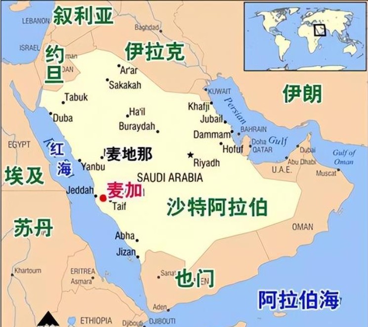 沙特貨貨運代理 沙特國際物流公司  沙特進出口報關公司 沙特國際貨運代理有限公司 沙特貨貨運代理 沙特國際物流公司  沙特進出口報關公司 沙特國際貨運代理有限公司