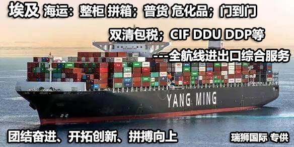 埃及海運(yùn)專線 埃及空運(yùn)價格 埃及快遞查詢 埃及?？砧F多式聯(lián)運(yùn)國際貨運(yùn)代理