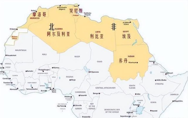 蘇丹貨運(yùn)專(zhuān)線 空運(yùn)專(zhuān)線 ?？▽?zhuān)線 空派專(zhuān)線 空卡專(zhuān)線 雙清 包稅門(mén)到門(mén)國(guó)際物流