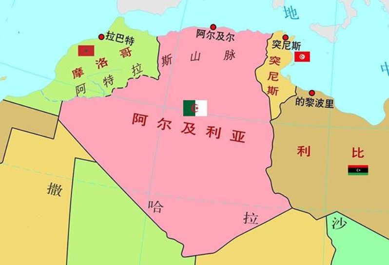 阿爾及利亞專線 阿爾及利亞海運船期查詢 阿爾及利亞空運貨物追蹤 阿爾及利亞?？章?lián)運雙清包稅門到門