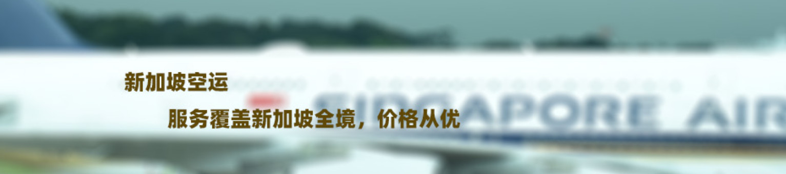 新加坡航空 SINGAPORE AIRLINES SQ航空 新加坡航空有限公司  新加坡航空 SINGAPORE AIRLINES SQ航空 新加坡航空有限公司